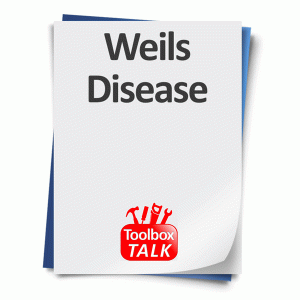 Weils-Disease-Tool-Box-Talks